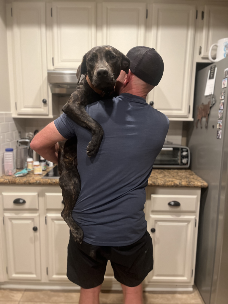 Doug-Pup Doug-Pup