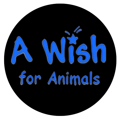 awishforanimals