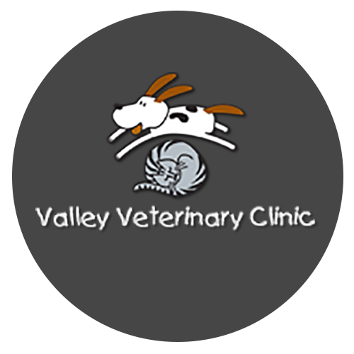 valleyvetlogo